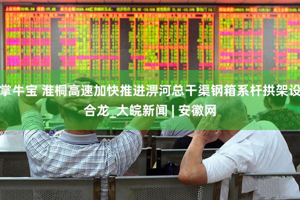 掌牛宝 淮桐高速加快推进淠河总干渠钢箱系杆拱架设合龙_大皖新闻 | 安徽网
