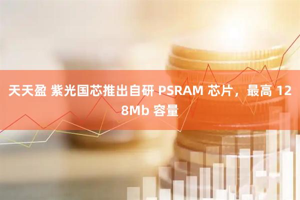 天天盈 紫光国芯推出自研 PSRAM 芯片，最高 128Mb 容量