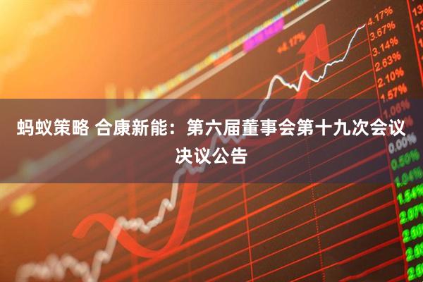 蚂蚁策略 合康新能：第六届董事会第十九次会议决议公告