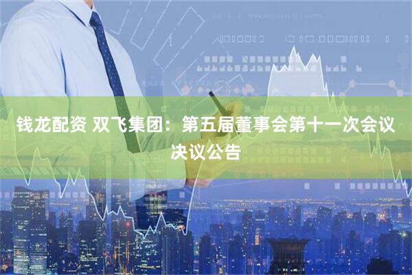 钱龙配资 双飞集团：第五届董事会第十一次会议决议公告