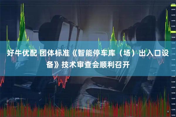 好牛优配 团体标准《智能停车库（场）出入口设备》技术审查会顺利召开