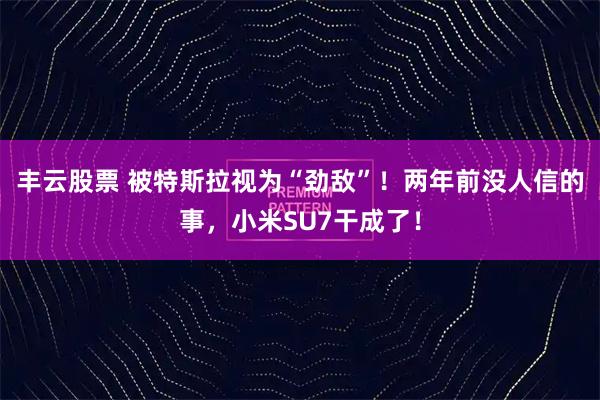 丰云股票 被特斯拉视为“劲敌”！两年前没人信的事，小米SU7干成了！